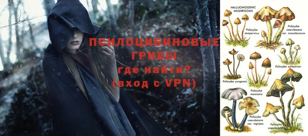 твердый Алексеевка