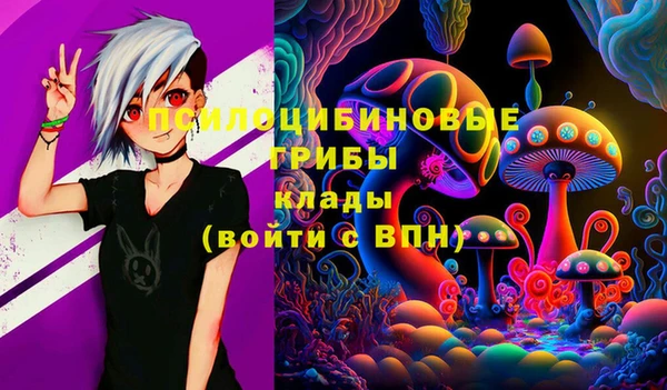 твердый Семёнов