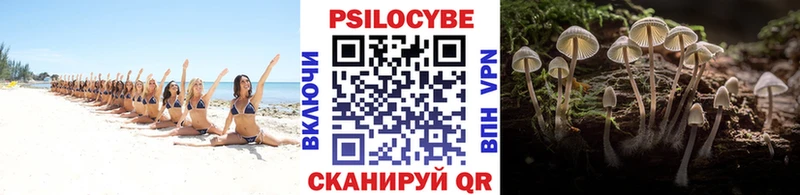 Галлюциногенные грибы ЛСД  Аркадак 